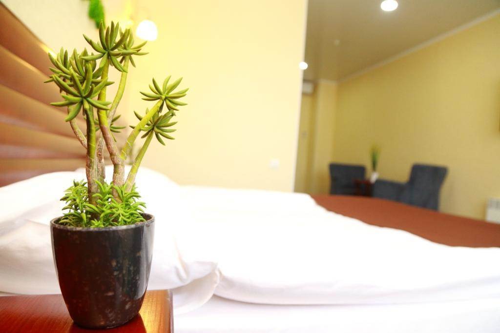 Green City Hotel Bishkek Exterior foto